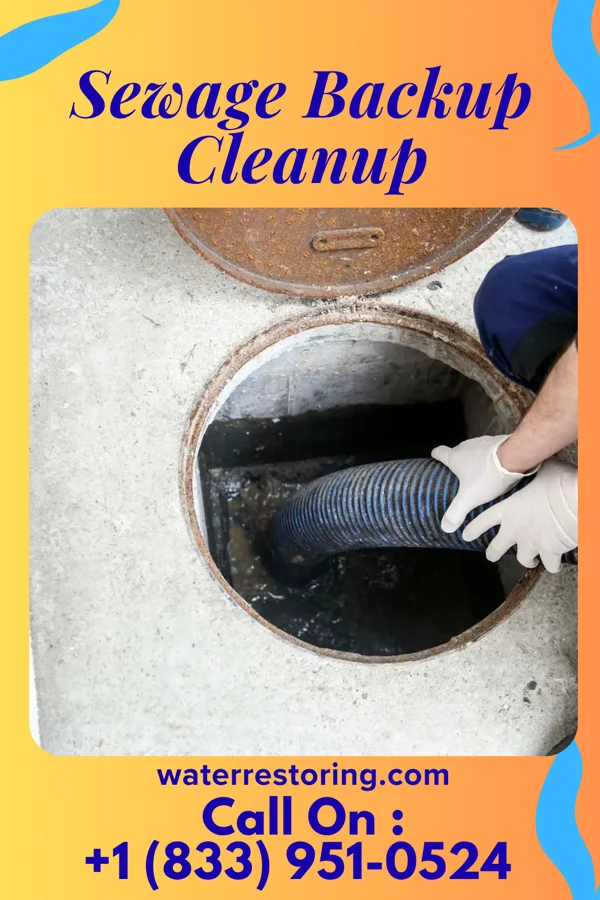 Sewage Backup Cleanup in Raymore, MO