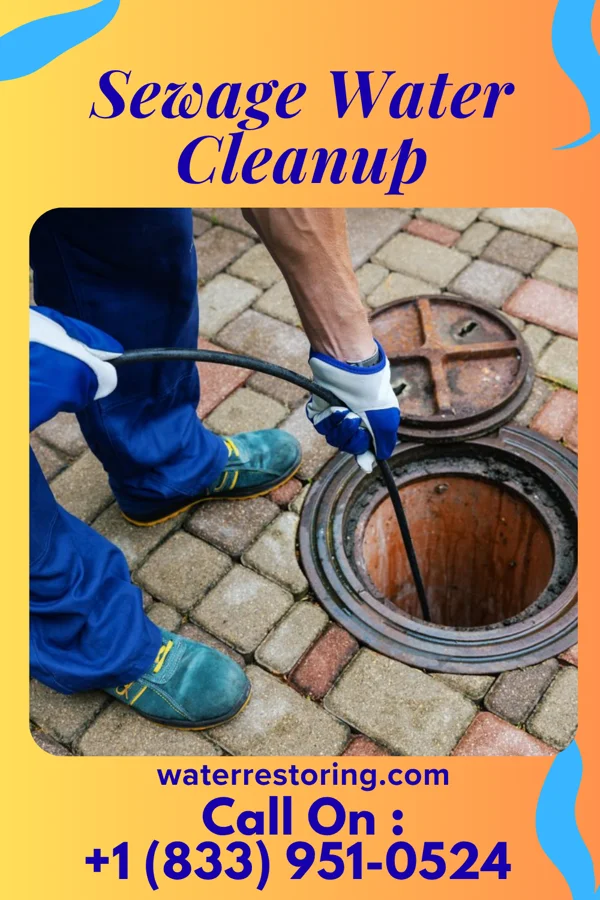 Sewage Water Cleanup in Raymore, MO
