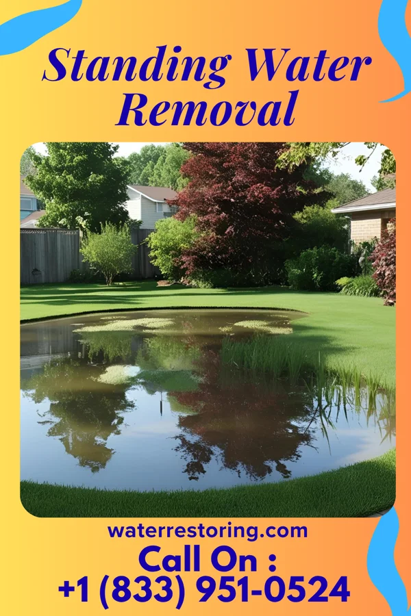 Standing Water Removal in Raymore, MO